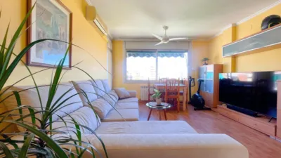 Apartment on Carrer de Murillo photo 5