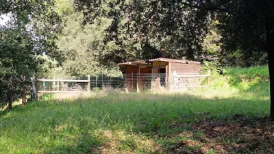 Rustic Finca on Disseminat Street photo 34