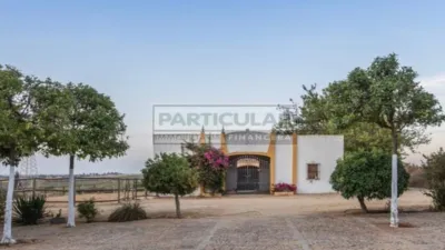 Rustic Finca in Alcalá de Guadaira - North Zone photo 21