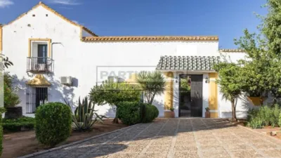 Rustic Finca in Alcalá de Guadaira - North Zone photo 7