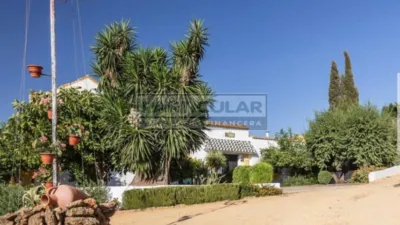 Rustic Finca in Alcalá de Guadaira - North Zone photo 6