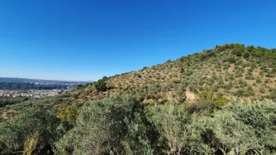 Rustic finca in Olesa de Montserrat photo 3
