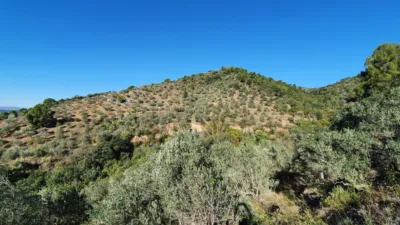 Rustic finca in Olesa de Montserrat photo 4