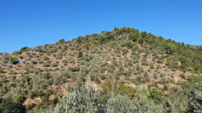 Rustic finca in Olesa de Montserrat photo 6