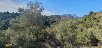 Rustic finca in Olesa de Montserrat photo 7