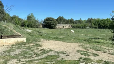Rustic finca on Calle Cal França, No. S/N photo 25