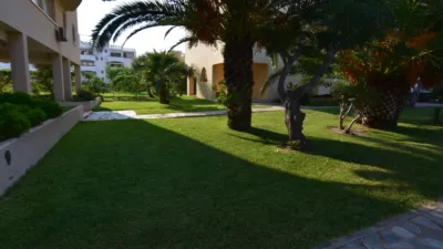 Apartment in Urbanización Las Sabinas photo 4