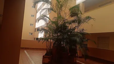 Apartment on Calle Glaucio, 5 photo 57