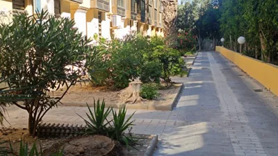 Apartment on Calle de la Botavara photo 19