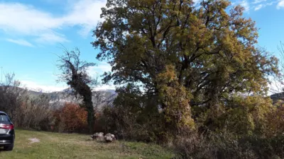 Rustic Finca in Cuesta Cal Ramon photo 6
