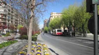 Piso en alquiler en Avenida Divina Pastora, San Ildefonso (Hospital Real) (Distrito Beiro. Granada Capital) de 1.000 €<span>/mes</span>