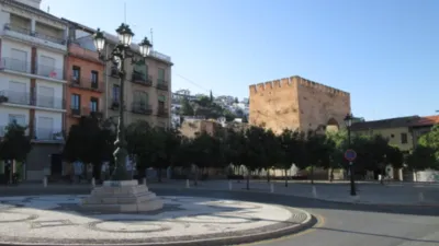 Piso en alquiler en Cuesta de Pernaleros, San Ildefonso (Hospital Real) (Distrito Beiro. Granada Capital) de 650 €<span>/mes</span>