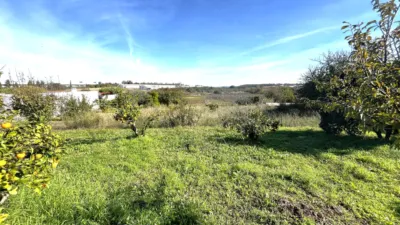 Casa en venta en Travesía del Rincón, número S/N, El Rincón (Punta Umbría) de 289.000 €