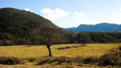 Rustic Finca on Camino Mas Els Amats photo 45