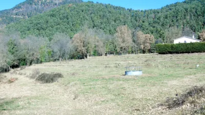 Rustic Finca on Camino Mas Els Amats photo 46