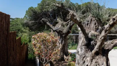Villa on Carrer de Vicenç Bou photo 16