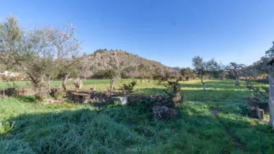 Single-family home in Pollença photo 14