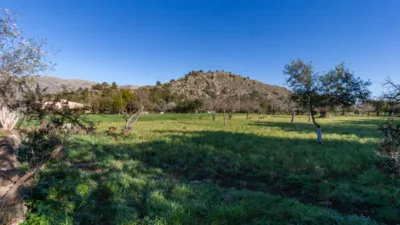 Single-family home in Pollença photo 19