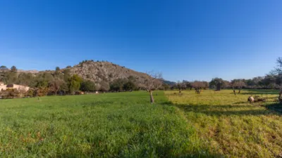 Single-family home in Pollença photo 22