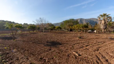 Detached villa in Pollença photo 12