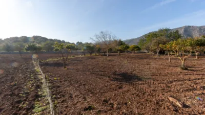 Detached villa in Pollença photo 13