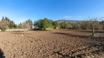 Detached villa in Pollença photo 14