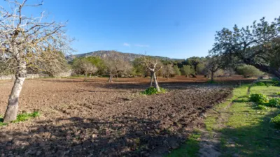 Detached villa in Pollença photo 15