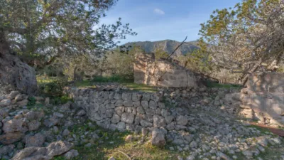 Detached villa in Pollença photo 19