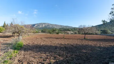 Detached villa in Pollença photo 20