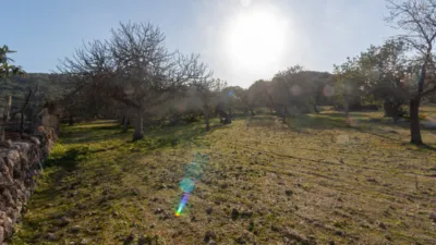 Detached villa in Pollença photo 21