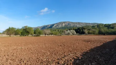 Detached villa in Pollença photo 22