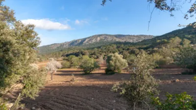 Detached villa in Pollença photo 25