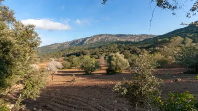 Detached villa in Pollença photo 26