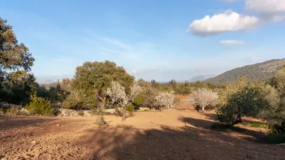 Detached villa in Pollença photo 28