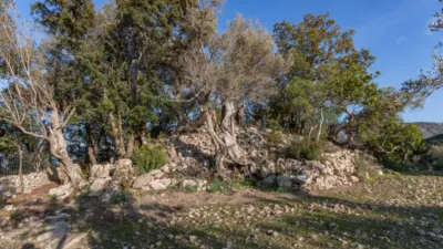 Detached villa in Pollença photo 29