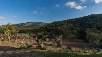 Detached villa in Pollença photo 31