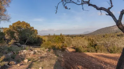 Detached villa in Pollença photo 32