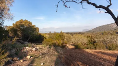 Detached villa in Pollença photo 33