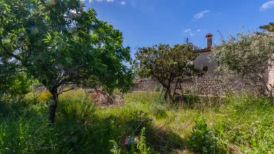 Casa unifamiliar en Son Sant Joan photo 12