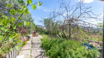 Single-family home in Son Sant Joan photo 3