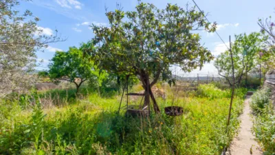 Casa unifamiliar en Son Sant Joan photo 8