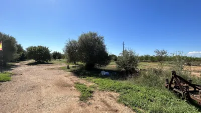 Chalet unifamiliar en venta en Polígono 1, Consell de 1.080.000 €