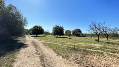 Chalet unifamiliar en venta en Polígono 1, Consell de 1.080.000 €