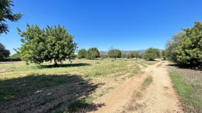 Chalet unifamiliar en venta en Polígono 1, Consell de 1.080.000 €