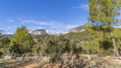 Rustic Finca in Alaró photo 16
