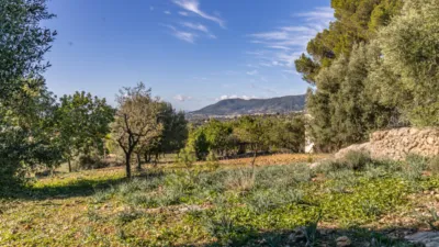 Rustic Finca in Alaró photo 19