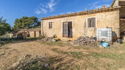 Rustic Finca in Alaró photo 4