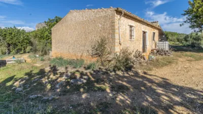 Rustic Finca in Alaró photo 10