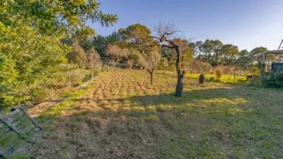 Single-family home in Alaró photo 32
