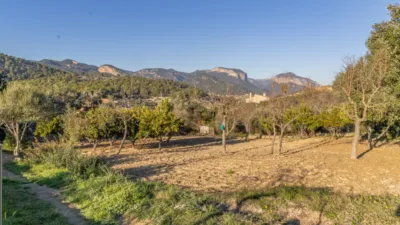 Single-family home in Alaró photo 7